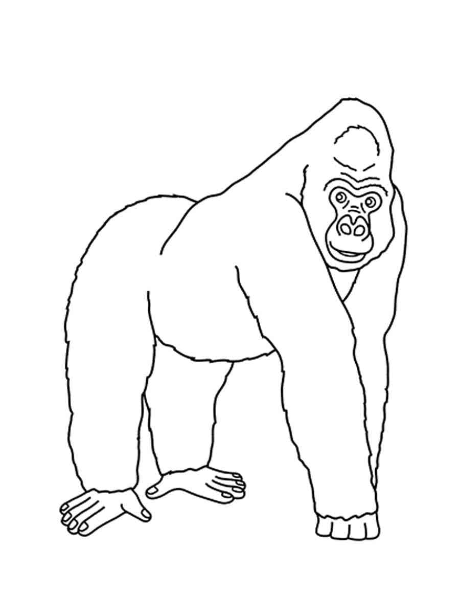 Dessin Gorille #188958 à colorier de la série Animaux, gratuit à télécharger et imprimer