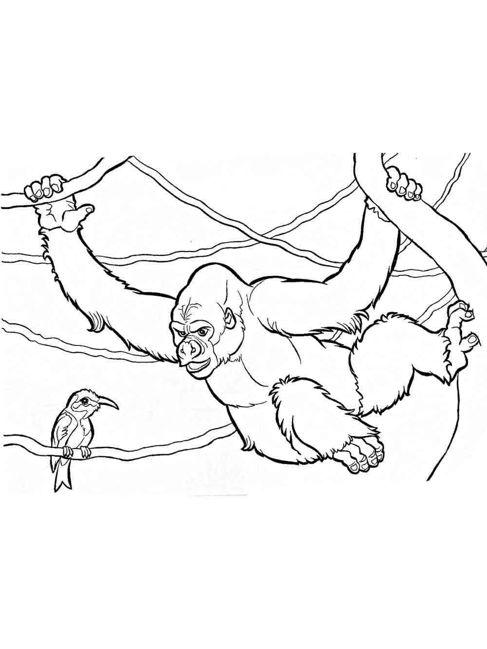 Illustration au trait Gorille #188967 de la collection Animaux à colorier gratuitement