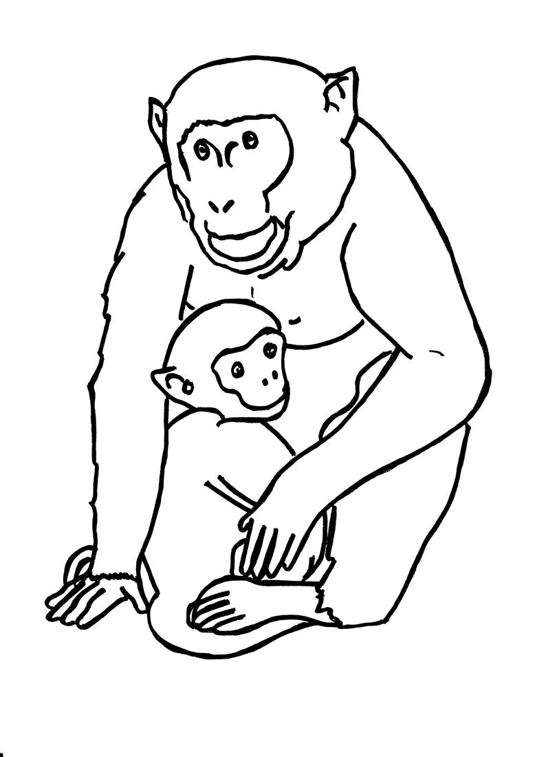 Dessin à colorier: Gorille (Animaux) #7476 - Coloriages à Imprimer Gratuits