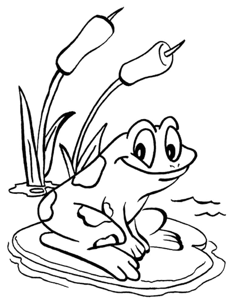 Coloriage gratuit Grenouille #187287 de la collection Animaux à imprimer