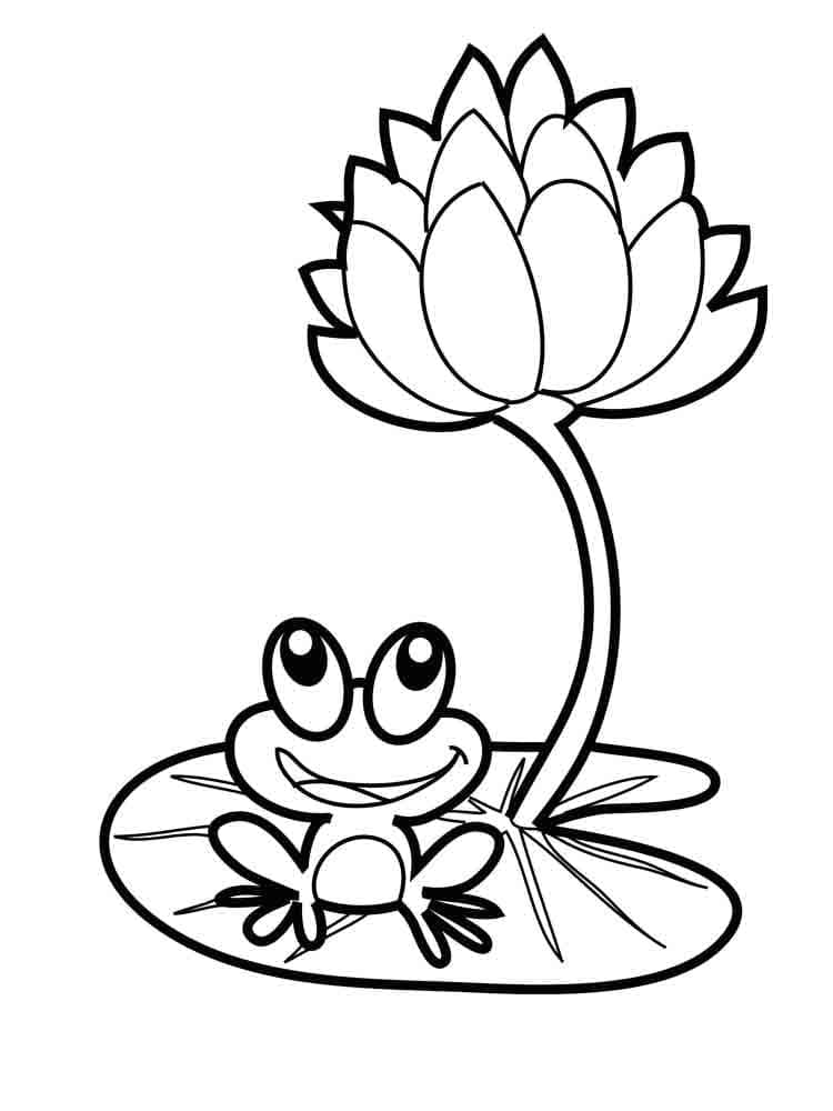 Coloriage gratuit Grenouille #187333 de la collection Animaux à imprimer