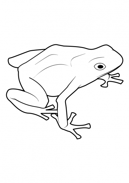 Dessin à colorier: Grenouille (Animaux) #7679 - Coloriages à Imprimer Gratuits