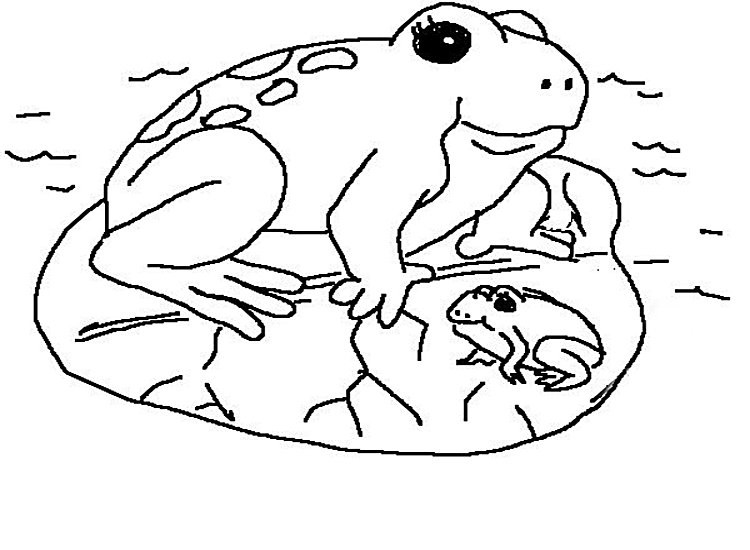 Dessin à colorier: Grenouille (Animaux) #7715 - Coloriages à Imprimer Gratuits