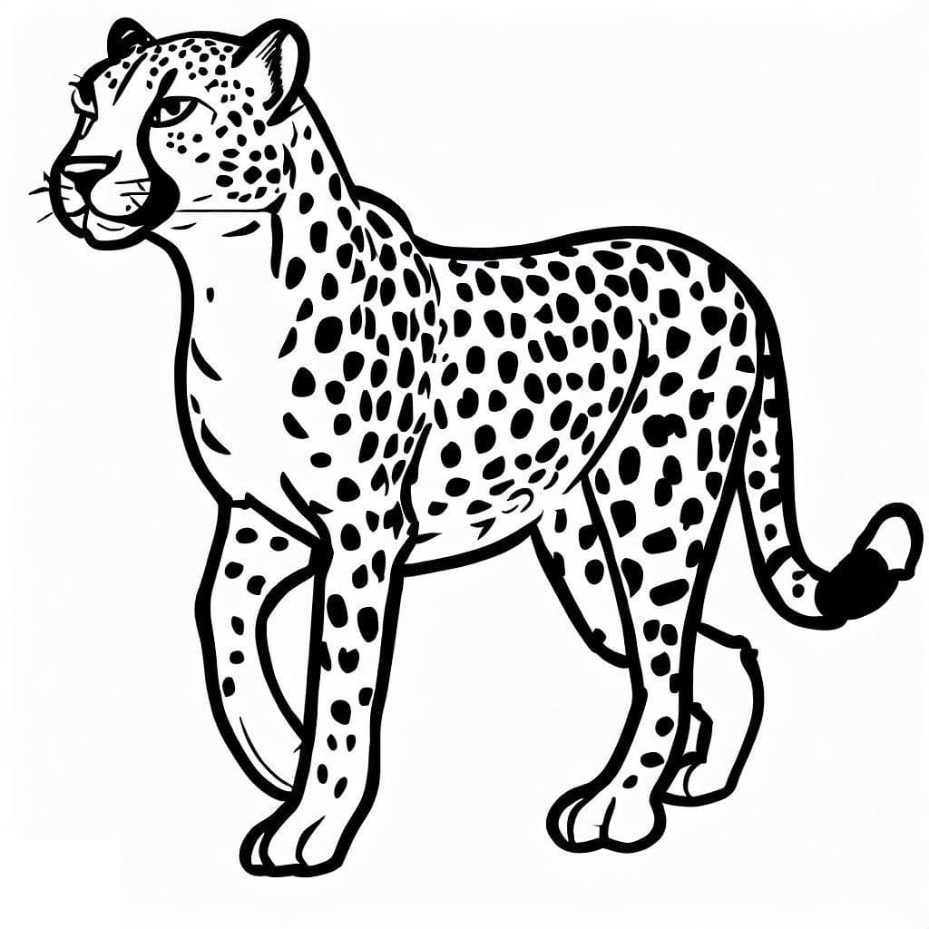 Coloriage gratuit Guépard #188859 de la collection Animaux à imprimer