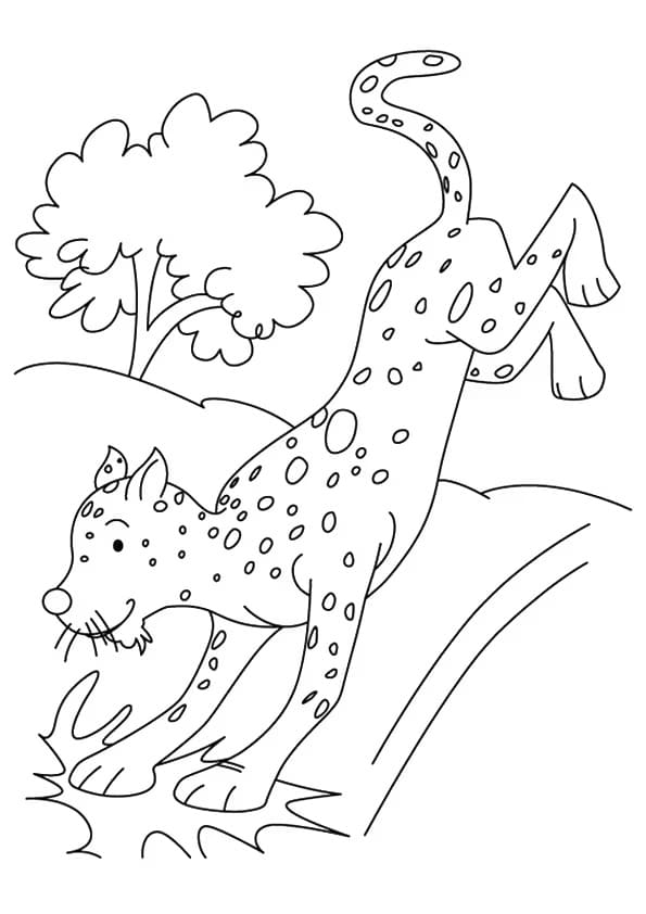 Coloriage gratuit Guépard #188883 de la collection Animaux à imprimer