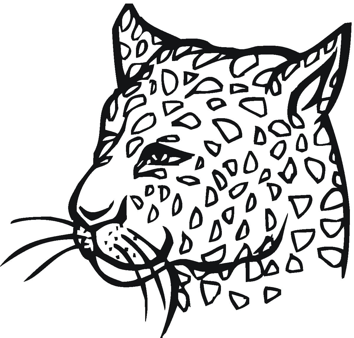 Coloriage gratuit Guépard #188892 de la collection Animaux à imprimer