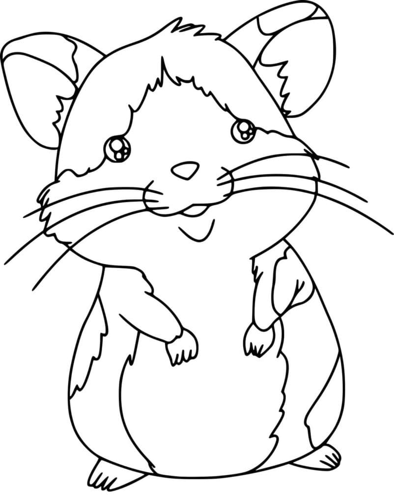 Coloriage à imprimer Hamster #188819 de la série Animaux, gratuit pour enfants et adultes
