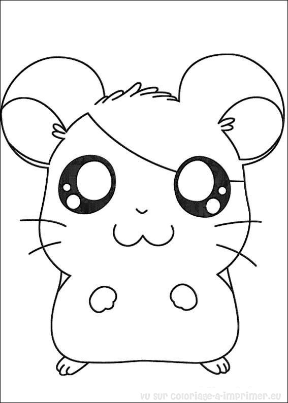 Dessins Hamster (Animaux) à colorier – Coloriages à imprimer