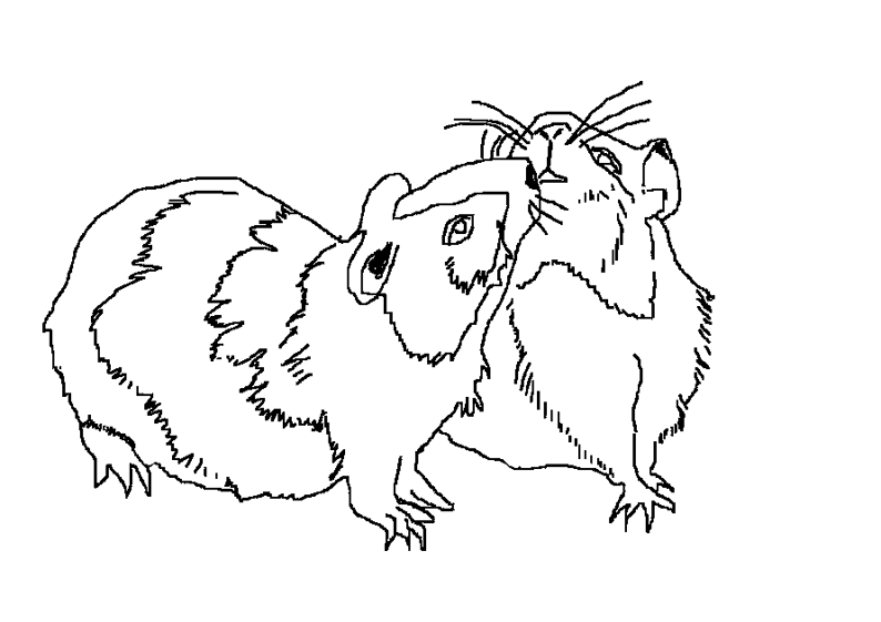 Dessin à colorier: Hamster (Animaux) #8023 - Coloriages à Imprimer Gratuits