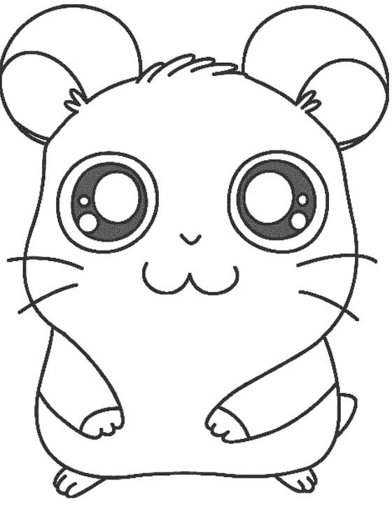 Dessin Hamster #8043 (Animaux) à colorier – Coloriages à imprimer