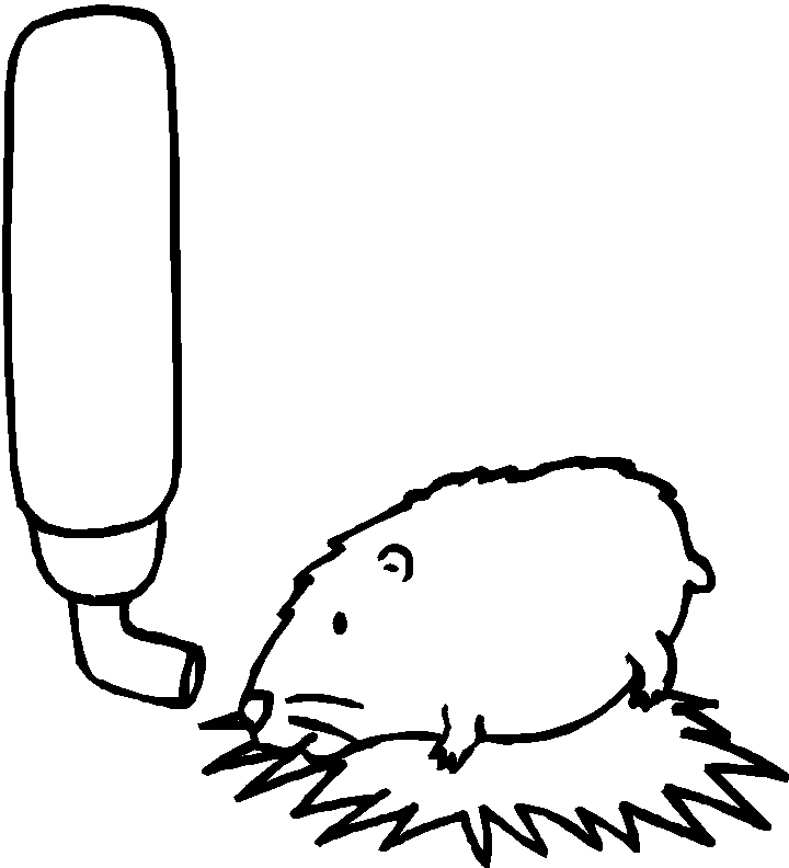 Dessin à colorier: Hamster (Animaux) #8049 - Coloriages à Imprimer Gratuits