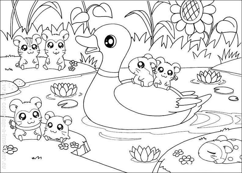 Dessin à colorier: Hamster (Animaux) #8109 - Coloriages à Imprimer Gratuits