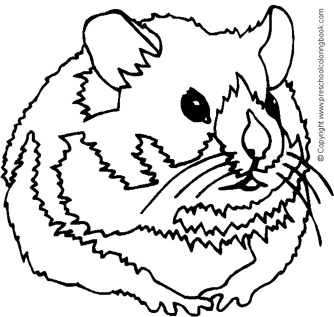 Dessin à colorier: Hamster (Animaux) #8139 - Coloriages à Imprimer Gratuits