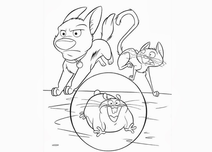 Dessin à colorier: Hamster (Animaux) #8151 - Coloriages à Imprimer Gratuits