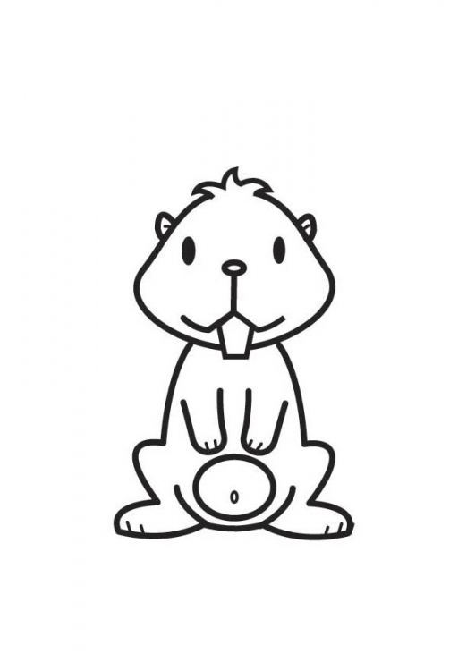 Dessin à colorier: Hamster (Animaux) #8156 - Coloriages à Imprimer Gratuits