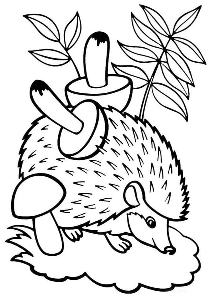 Coloriage gratuit Hérisson #190590 de la collection Animaux à imprimer