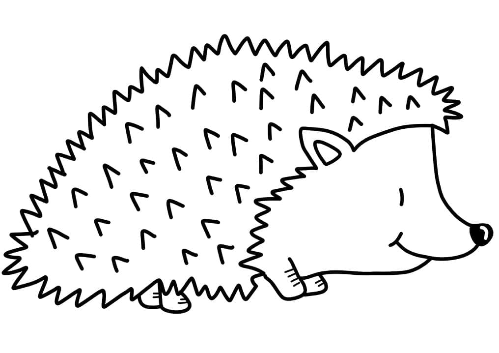 Page de coloriage Hérisson #190622, collection Animaux, à imprimer et colorier