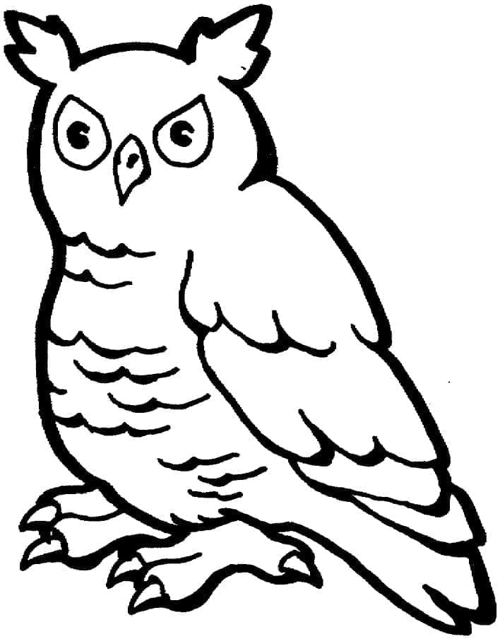Coloriage à imprimer Hibou #178821 de la série Animaux, gratuit pour enfants et adultes