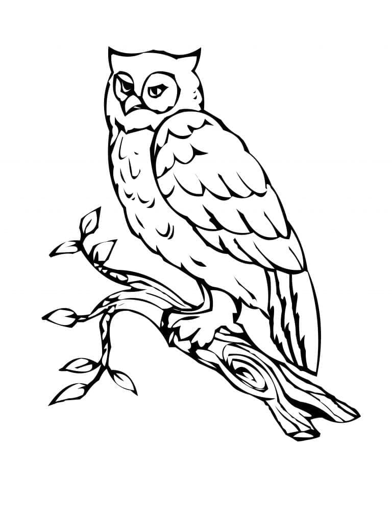 Coloriage gratuit Hibou #178822 de la collection Animaux à imprimer