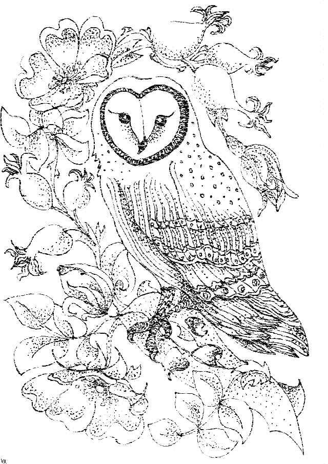 Dessin à colorier: Hibou (Animaux) #8505 - Coloriages à Imprimer Gratuits