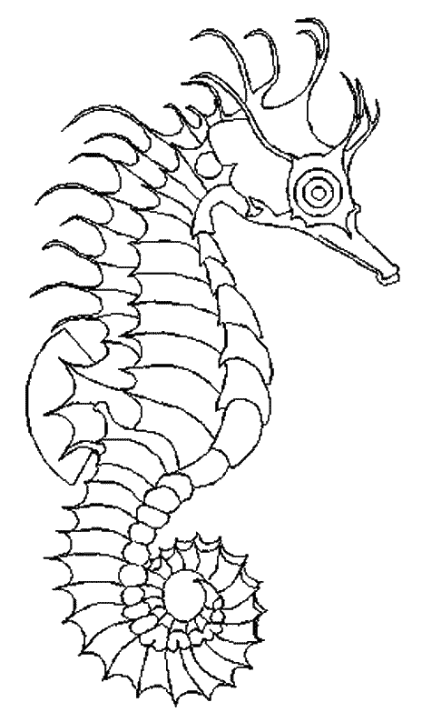 Dessin à colorier: Hippocampe (Animaux) #18601 - Coloriages à Imprimer Gratuits