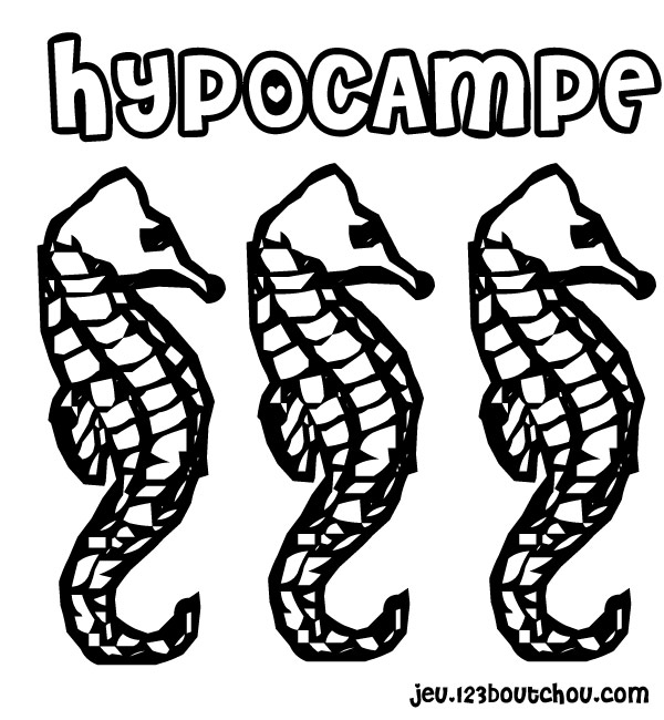 Dessin à colorier: Hippocampe (Animaux) #18627 - Coloriages à Imprimer Gratuits