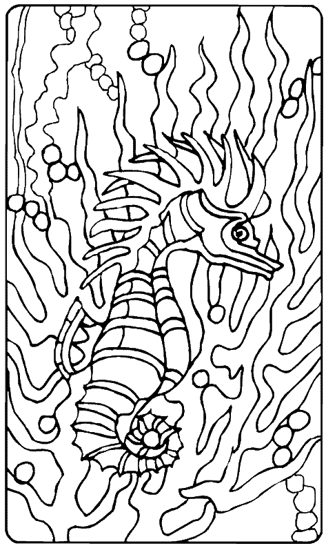 Dessin à colorier: Hippocampe (Animaux) #18630 - Coloriages à Imprimer Gratuits