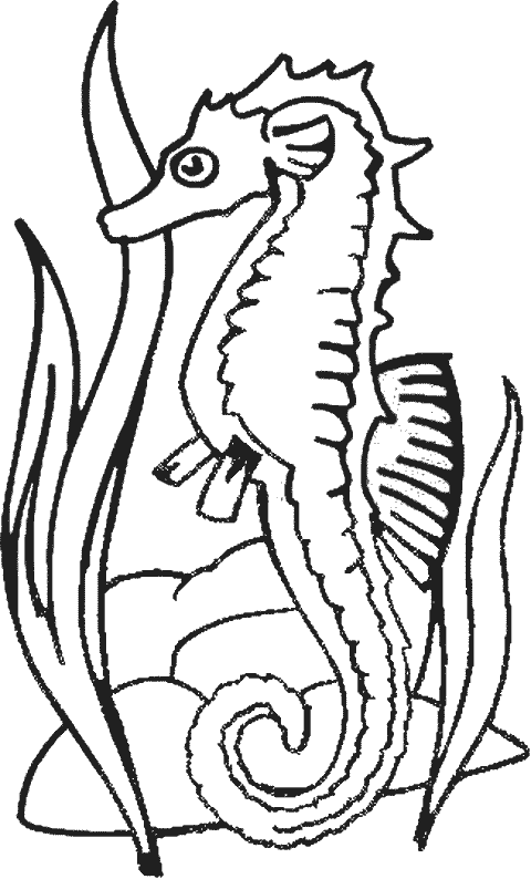 Dessin à colorier: Hippocampe (Animaux) #18632 - Coloriages à Imprimer Gratuits