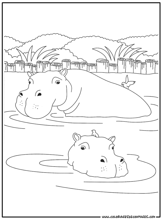 Dessin à colorier: Hippopotame (Animaux) #8633 - Coloriages à Imprimer Gratuits