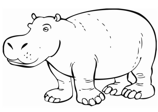 Dessin à colorier: Hippopotame (Animaux) #8669 - Coloriages à Imprimer Gratuits