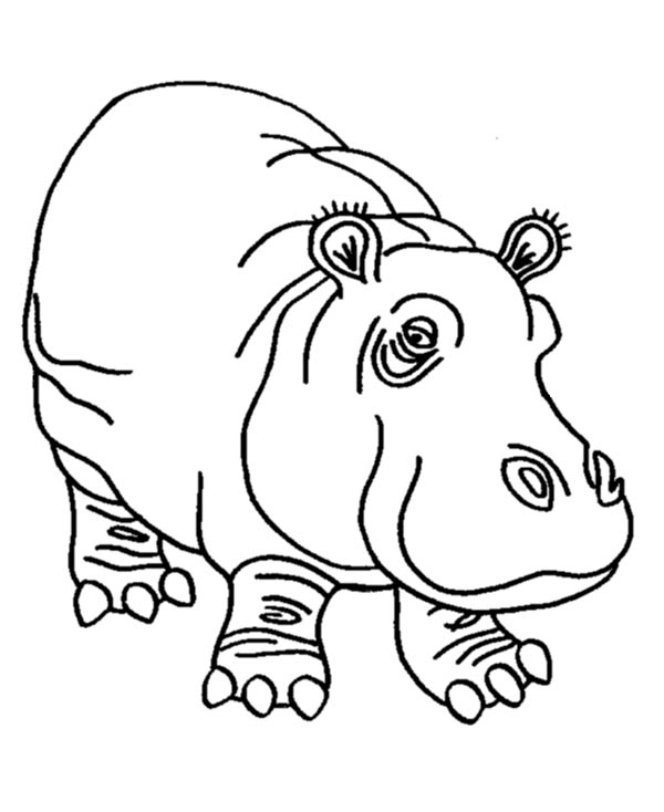 Dessin à colorier: Hippopotame (Animaux) #8726 - Coloriages à Imprimer Gratuits