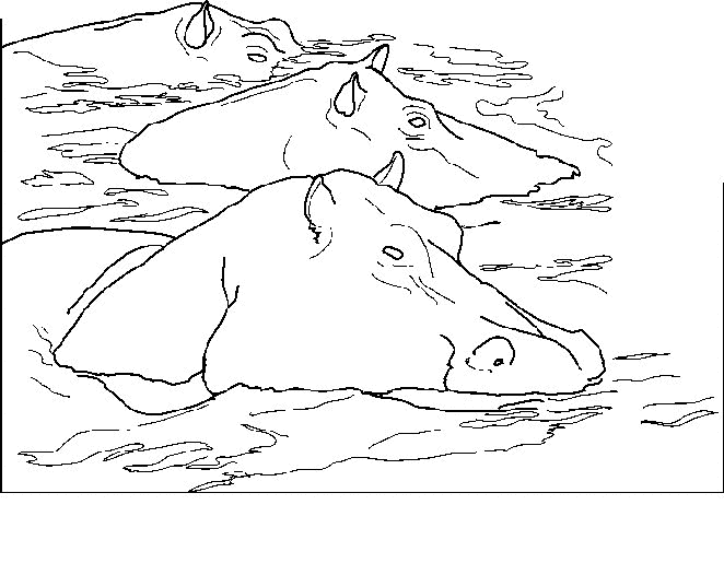 Dessin à colorier: Hippopotame (Animaux) #8727 - Coloriages à Imprimer Gratuits