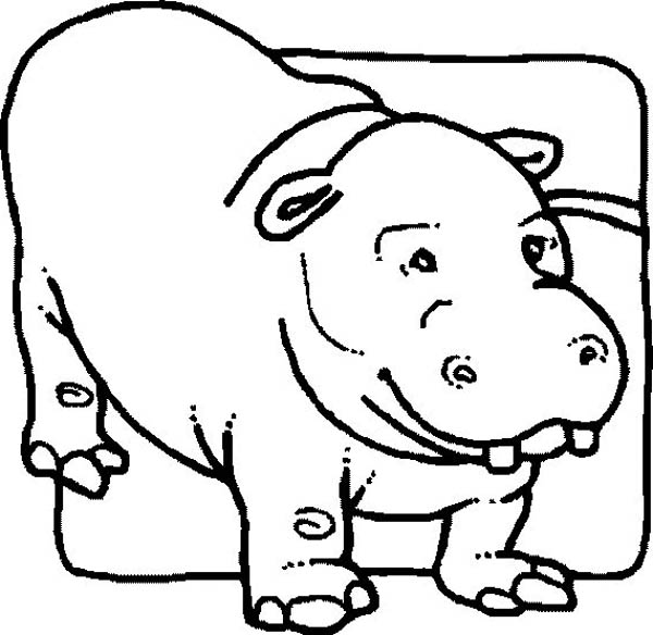 Dessin à colorier: Hippopotame (Animaux) #8770 - Coloriages à Imprimer Gratuits