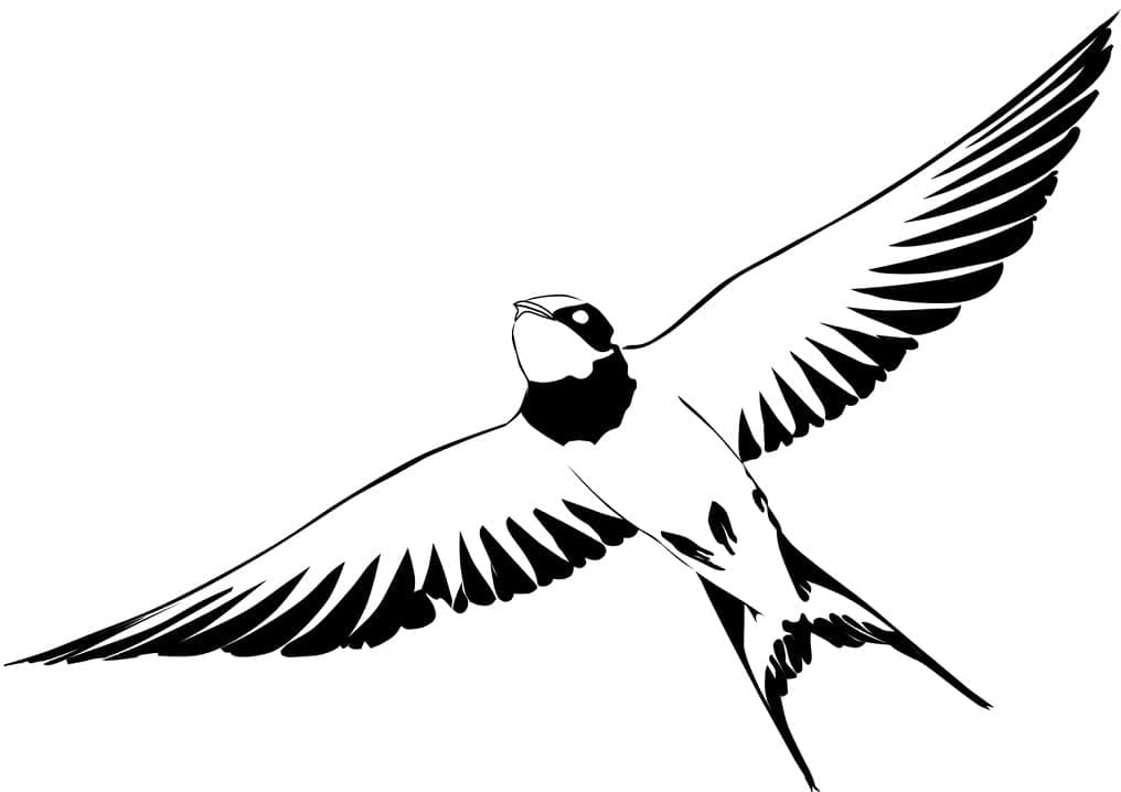 Coloriage gratuit Hirondelle #210270 de la collection Animaux à imprimer Coloriage gratuit Hirondelle #210270 de la collection Animaux à imprimer
