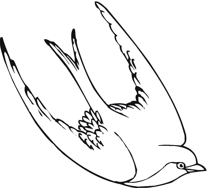 Dessin Hirondelle #210283 à colorier de la série Animaux, gratuit à télécharger et imprimer
