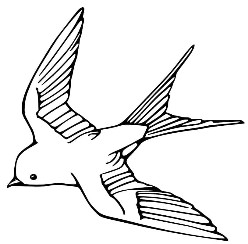 Coloriage gratuit Hirondelle #210290 de la collection Animaux à imprimer