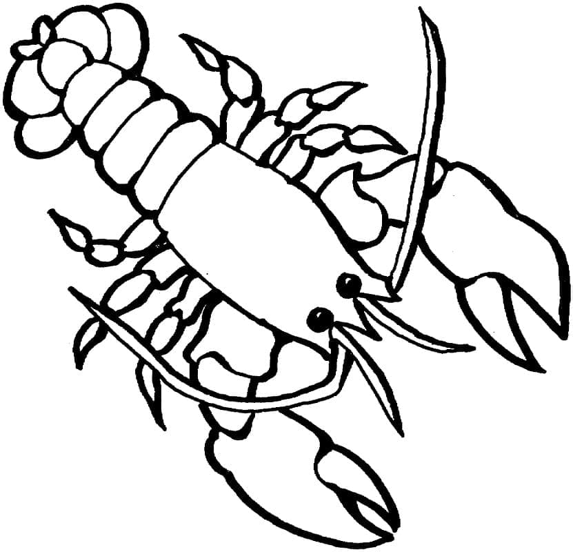Dessin à colorier: Homard (Animaux) #186715 - Coloriages à Imprimer Gratuits