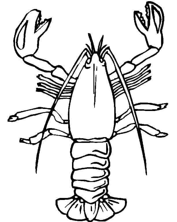 Dessin à colorier: Homard (Animaux) #186720 - Coloriages à Imprimer Gratuits