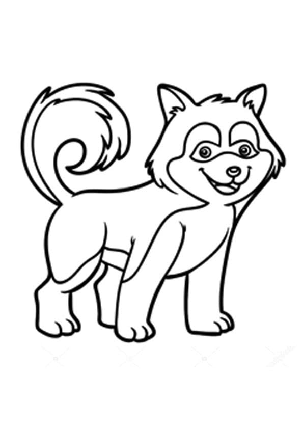 Coloriage gratuit Husky #189128 de la collection Animaux à imprimer