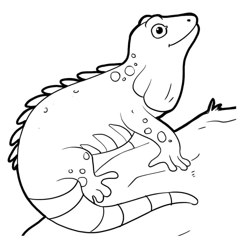 Coloriage gratuit Iguane #188800 de la collection Animaux à imprimer
