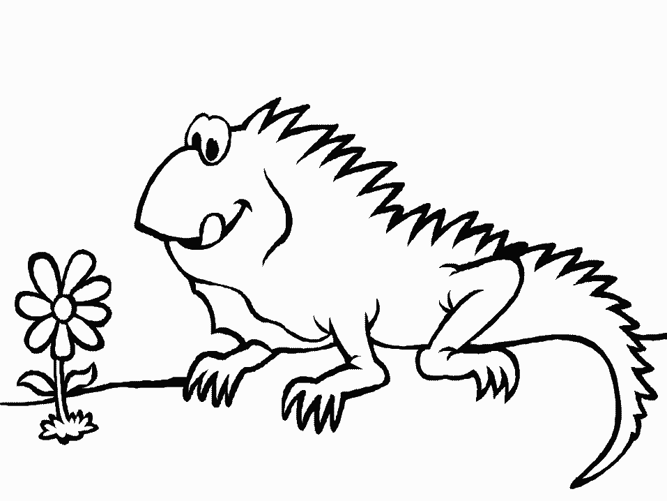 Dessin à colorier: Iguane (Animaux) #8911 - Coloriages à Imprimer Gratuits