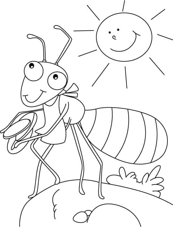 Coloriage gratuit Insecte #179748 de la collection Animaux à imprimer