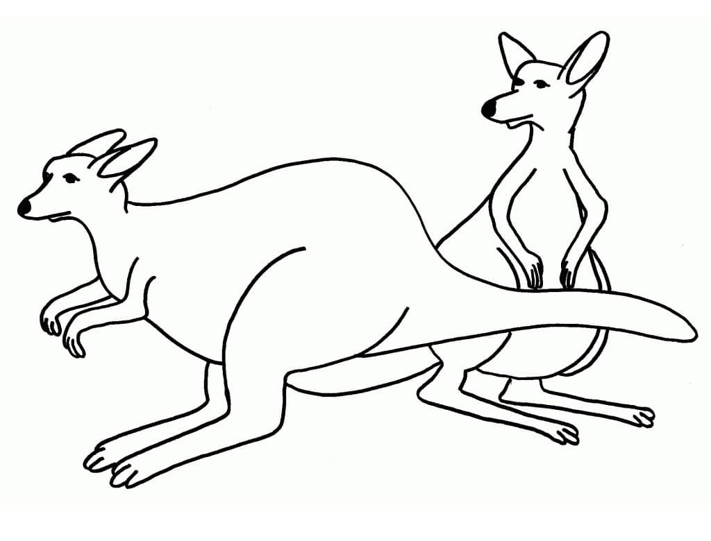 Page de coloriage Kangourou #179664, collection Animaux, à imprimer et colorier
