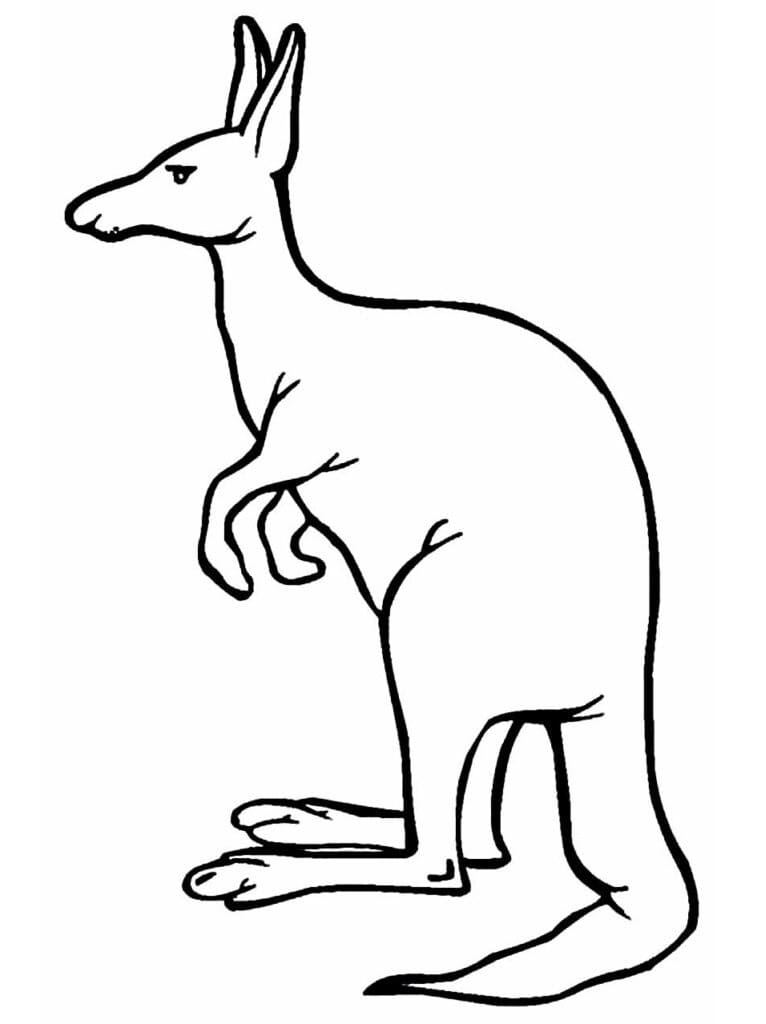 Coloriage gratuit pour enfants et adultes Kangourou #179666, collection Animaux