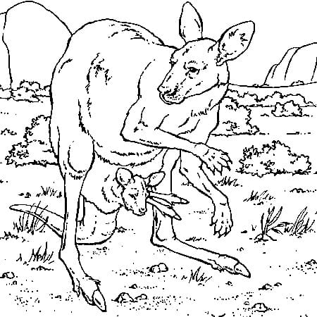 Dessin Kangourou #179689 à colorier de la série Animaux, gratuit à télécharger et imprimer
