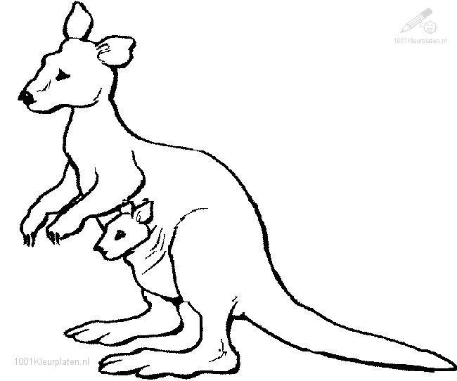 Dessin à colorier: Kangourou (Animaux) #9172 - Coloriages à Imprimer Gratuits