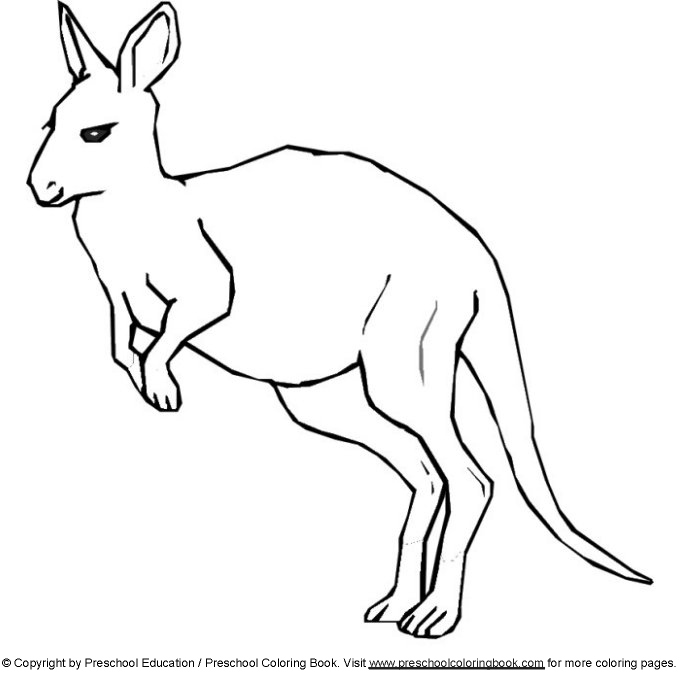 Dessin Kangourou #9193 (Animaux) à colorier – Coloriages à imprimer