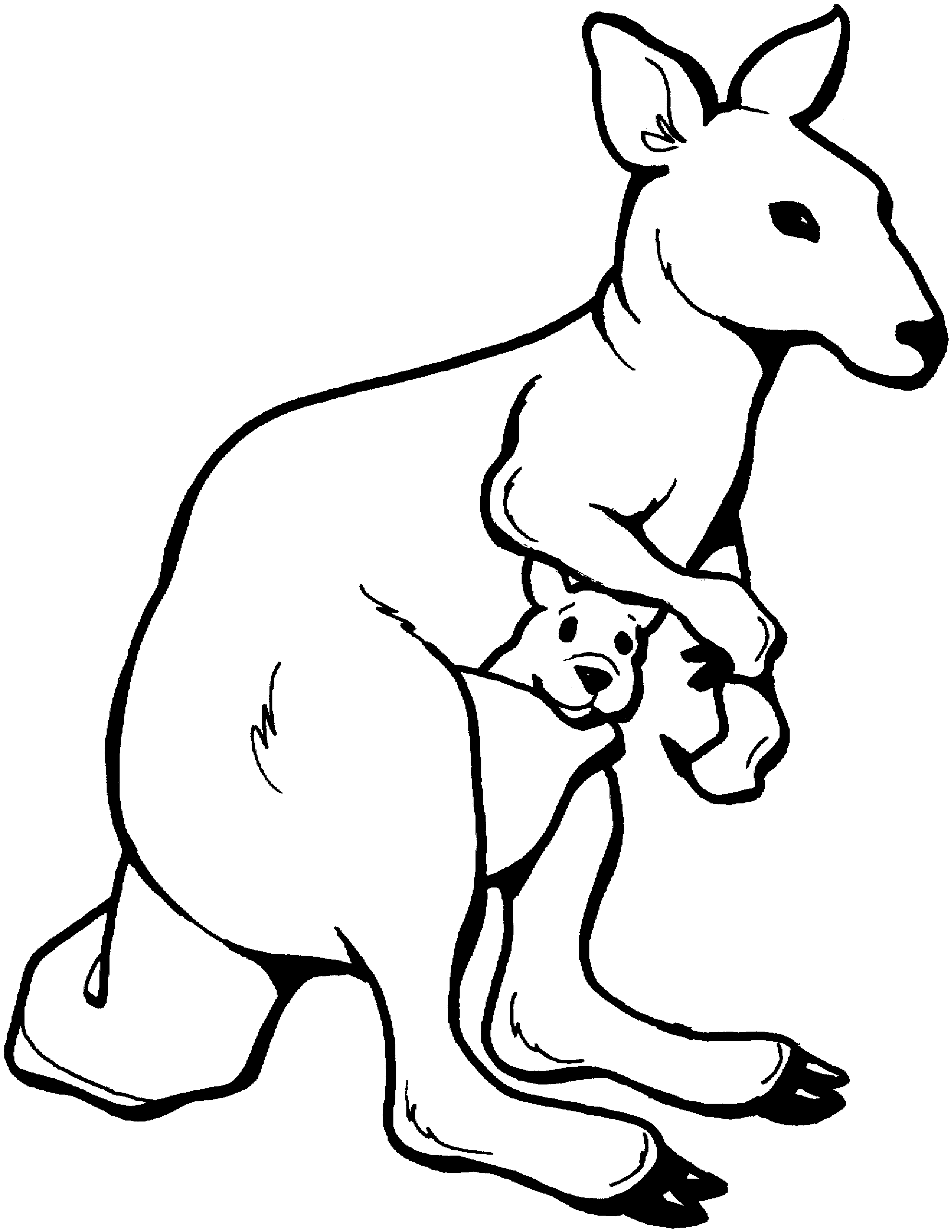Coloriages Kangourou (Animaux) – Dessins à colorier – Coloriages à imprimer