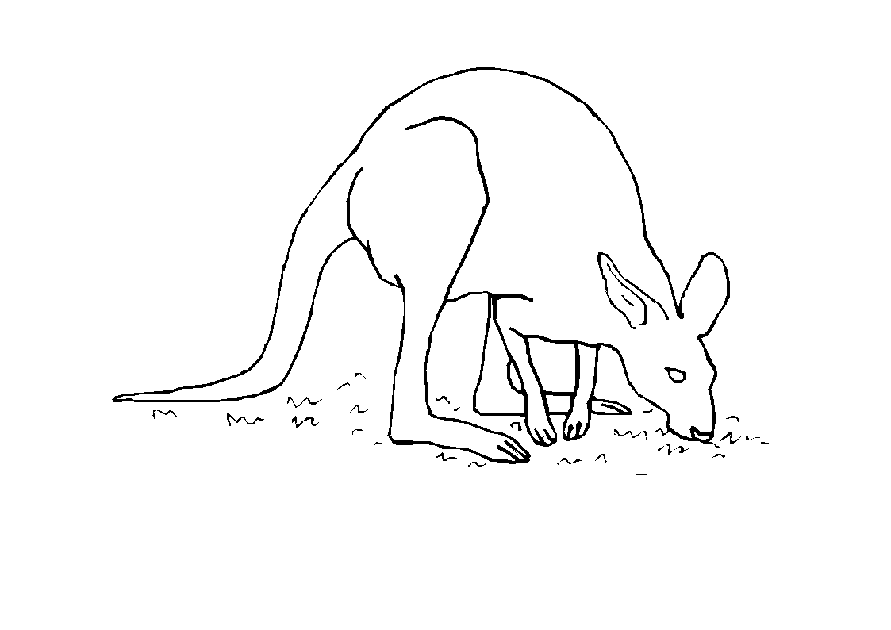 Dessin à colorier: Kangourou (Animaux) #9207 - Coloriages à Imprimer Gratuits