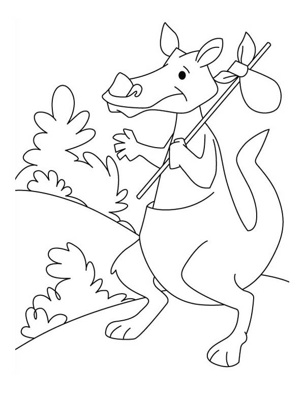 Dessin à colorier: Kangourou (Animaux) #9252 - Coloriages à Imprimer Gratuits